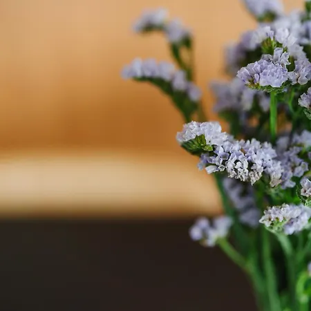 Casa Lumnezia - Panoramic Ecodesign Obersaxen - Val Lumnezia I - Vignogn I Near Laax Flims I 5 Swiss Stars Rating *