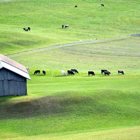 Casa Lumnezia - Panoramic Ecodesign Obersaxen - Val Lumnezia I - Vignogn I Near Laax Flims I 5 Swiss Stars Rating Διαμέρισμα *