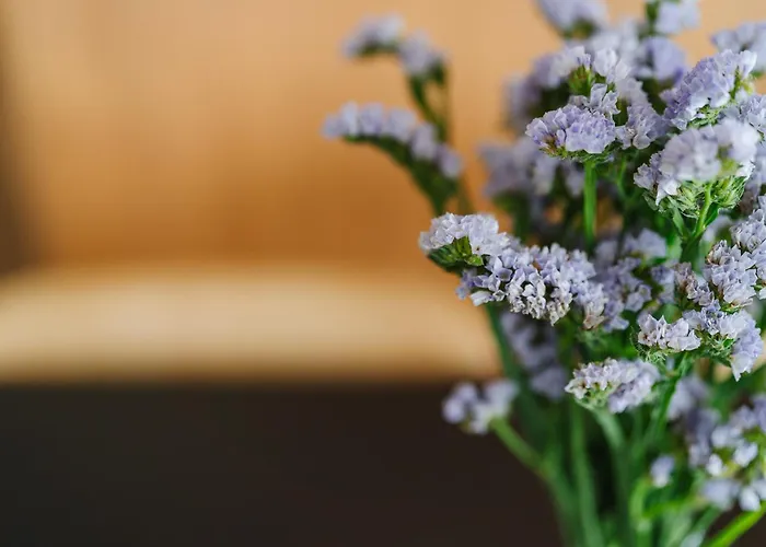 Casa Lumnezia - Panoramic Ecodesign Obersaxen - Val Lumnezia I - Vignogn I Near Laax Flims I 5 Swiss Stars Rating *