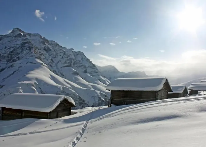 Casa Lumnezia - Panoramic Ecodesign Obersaxen - Val Lumnezia I - Vignogn I Near Laax Flims I 5 Swiss Stars Rating Lejlighed *