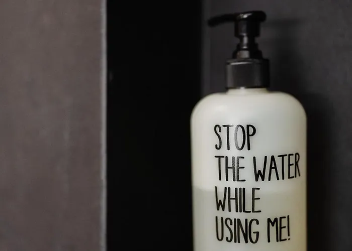 Casa Lumnezia - Panoramic Ecodesign Obersaxen - Val Lumnezia I - Vignogn I Near Laax Flims I 5 Swiss Stars Rating Lejlighed Vella